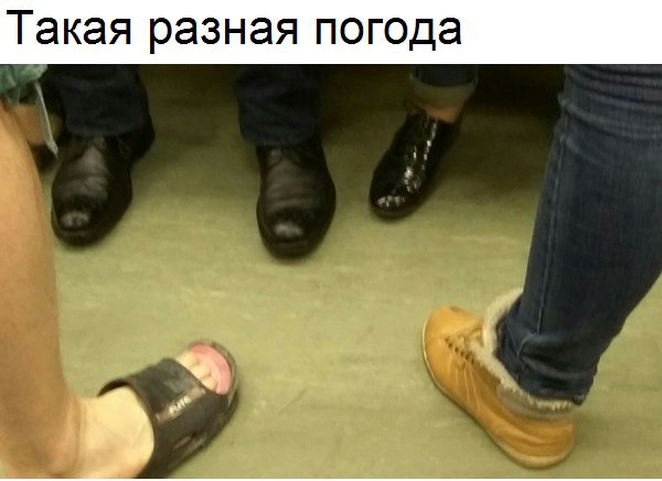   - 4  2017  19:13