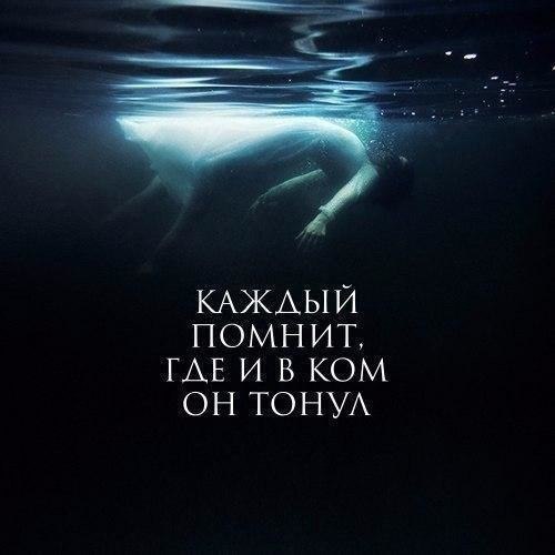    - 12  2017  19:31 - 2