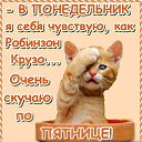  , - -  31  2017    