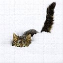 ���� Anna, �������, 65 ��� - ��������� 10 ������� 2017 � ������ ���� ����������