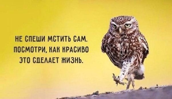 Копилка самых бесценных работающих советов. #советы@rules4life - 3