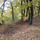 ���� ������, �������, 66 ��� - ��������� 19 ������� 2017 � ������ ���� ����������