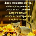 ���� �������, ������, 39 ��� - ��������� 25 �������� 2017 � ������ ���� ����������