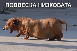      - 1  2017  07:14