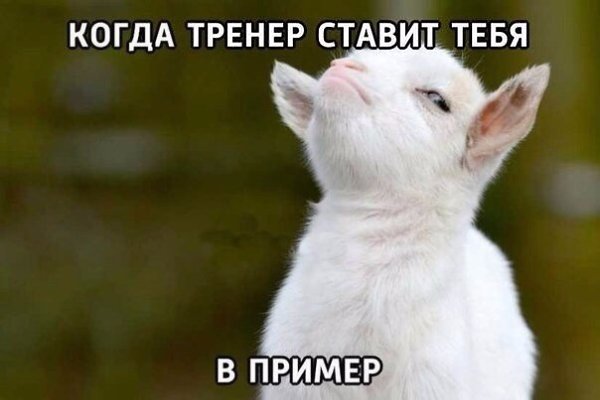 SportFeed - 27  2017  07:44