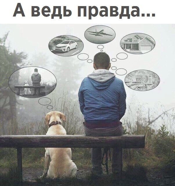   - 11  2017  17:17
