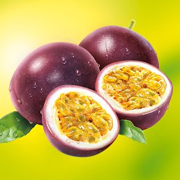 ������� ��, ������������, 45 ���