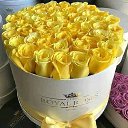 Irina, , 56  -  25  2017   *My flowers*