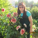 14.08.2017 �� ������� ���� ����������