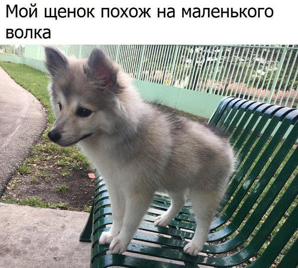  - 12  2017  09:13