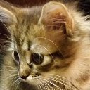 ���� �������, ������ - ��������� 14 ������ 2017 � ������ ���� ����������