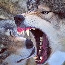 ���� ������, ������������ - ��������� 31 ���� 2017 � ������ ������