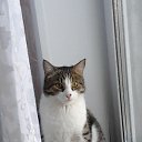 ���� �����, ������, 63 ���� - ��������� 18 ���� 2017 � ������ ���� ����������