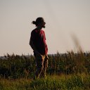 ���� �����, ������, 44 ���� - ��������� 14 �������� 2017 � ������ ���� ����������