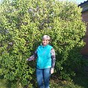 ���� �����, ������-��-����, 58 ��� - ��������� 9 �������� 2017