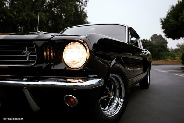 1966 Shelby GT350H 