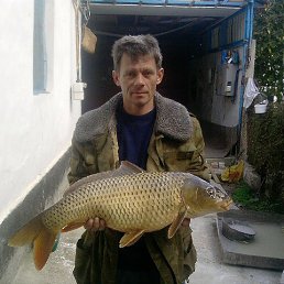 ������, ����, 59 ���