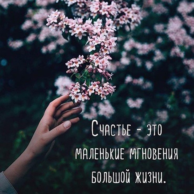   . . . - 30  2017  11:06