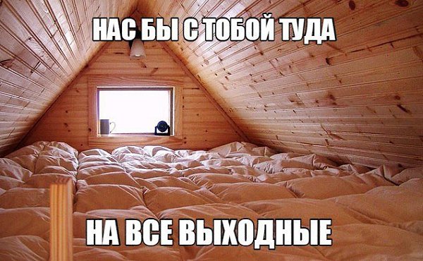    - 11  2017  03:45
