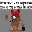���� ������, ����, 54 ���� - ��������� 23 ������ 2017 � ������ ������ ��������