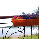 ���� ������, �����-���������, 66 ��� - ��������� 6 ������ 2017 � ������ �2017�