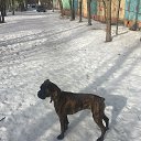 ���� ����, ����������, 58 ��� - ��������� 4 ���� 2017 � ������ ���� ����������