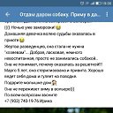 ���� ����, �����-���������, 45 ��� - ��������� 25 �������� 2017 � ������ ������ ��������