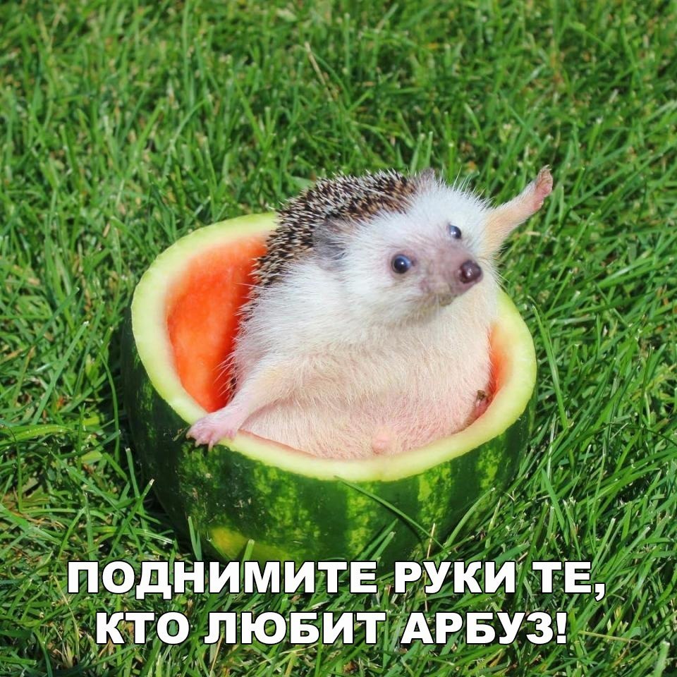    :D - 5  2017  09:06