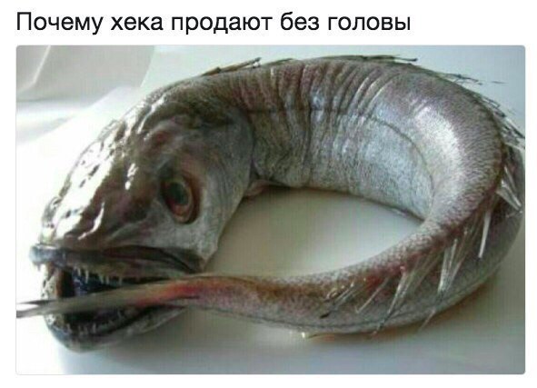 ����� � ������� - 15 ������ 2017 � 09:25