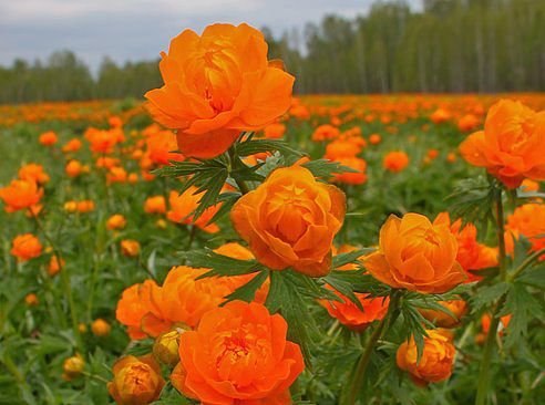 https://fotostrana.ru/away?to=/sl/HTx5