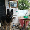 ���� �����, �������, 68 ��� - ��������� 26 ������� 2017 � ������ ���� ����������