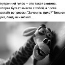 ���� ������, �����������, 40 ��� - ��������� 19 ������� 2017 � ������ ���� ����������