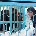 ���� ������, ����������, 37 ��� - ��������� 10 ������ 2017