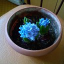 ���� ������, �������� - ��������� 29 ������ 2017 � ������ ���� ����������