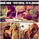  1, , 41  -  12  2017    