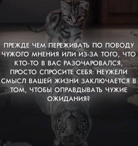  - 8  2017  23:15