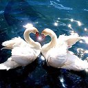 ���� Alehandro, ����������, 53 ���� - ��������� 16 ������ 2017 � ������ ������ ��������