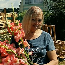 �������, �������, 65 ���