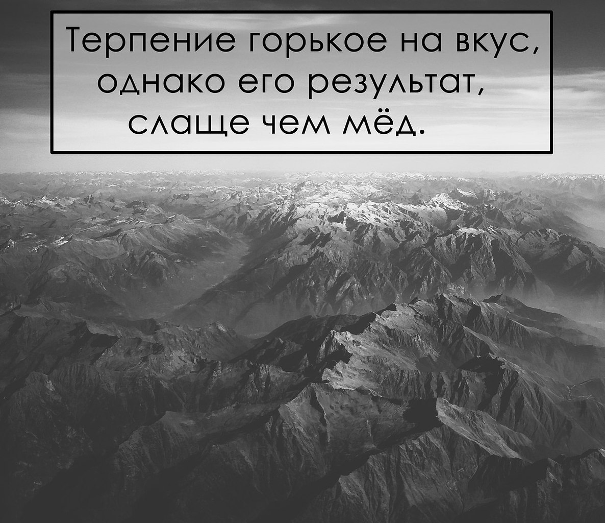 . - 10  2017  11:37