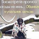   Stalker, -, 38  -  31  2017    
