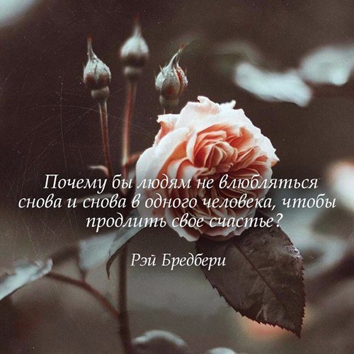  | ,  - 9  2017  20:00