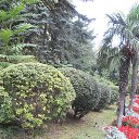  , , 60  -  30  2017   29.08.17.,  .