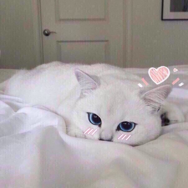  - 5