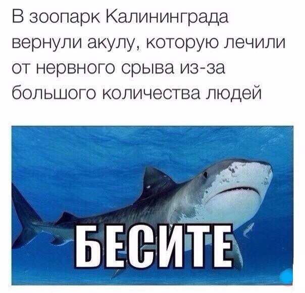   -   - 27  2017  18:07