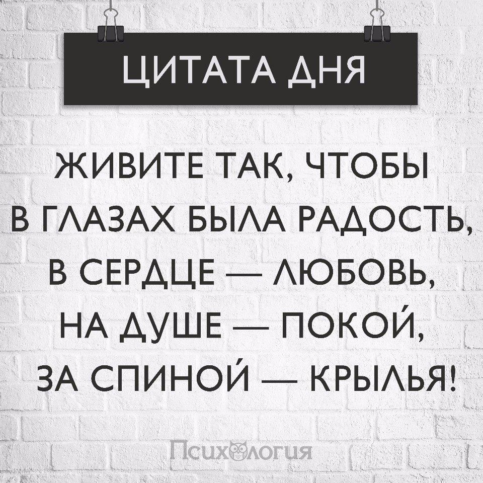  - 15  2017  06:33