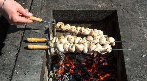 Как готовить шашлыки и стейки.1. Правильно нарезайте мясо Любые порционные куски мяса должны быть, ... - 7
