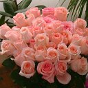 ���� Serg, ������, 66 ��� - ��������� 28 ������� 2017 � ������ ���� ����!!!�