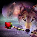 ���� �������� ���, �����-���������, 52 ���� - ��������� 10 ���� 2017 � ������ ������ ��������