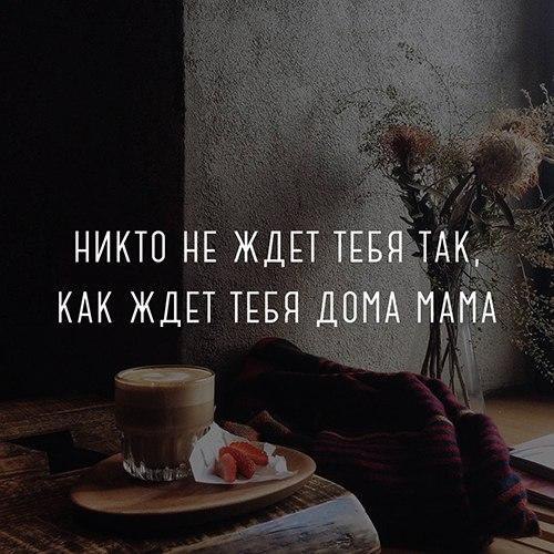   . . . - 12  2017  15:08