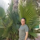  Kasimir, , 69  -  4  2017    